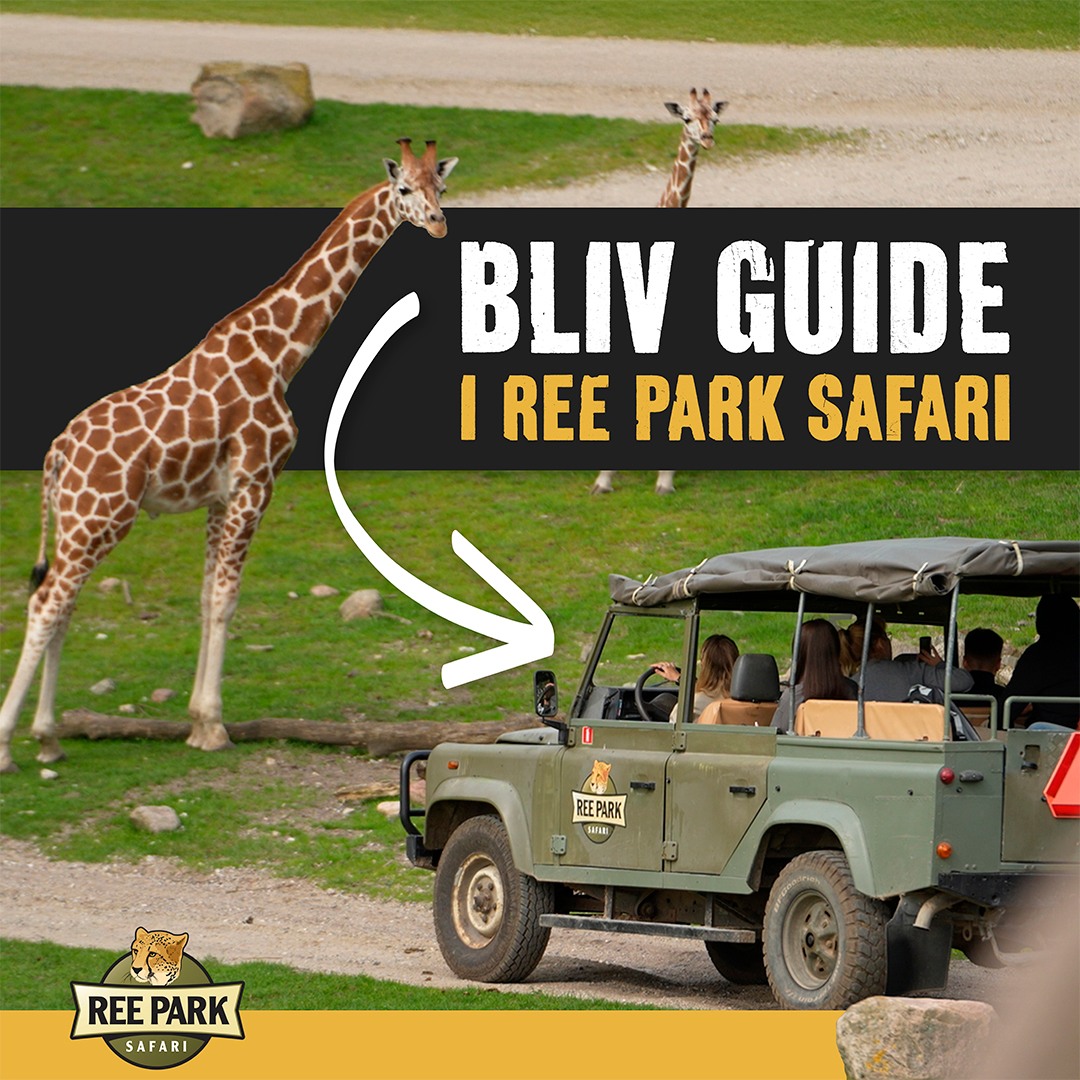 Ree Park Safari - Ree Park Safari added a new photo — at...