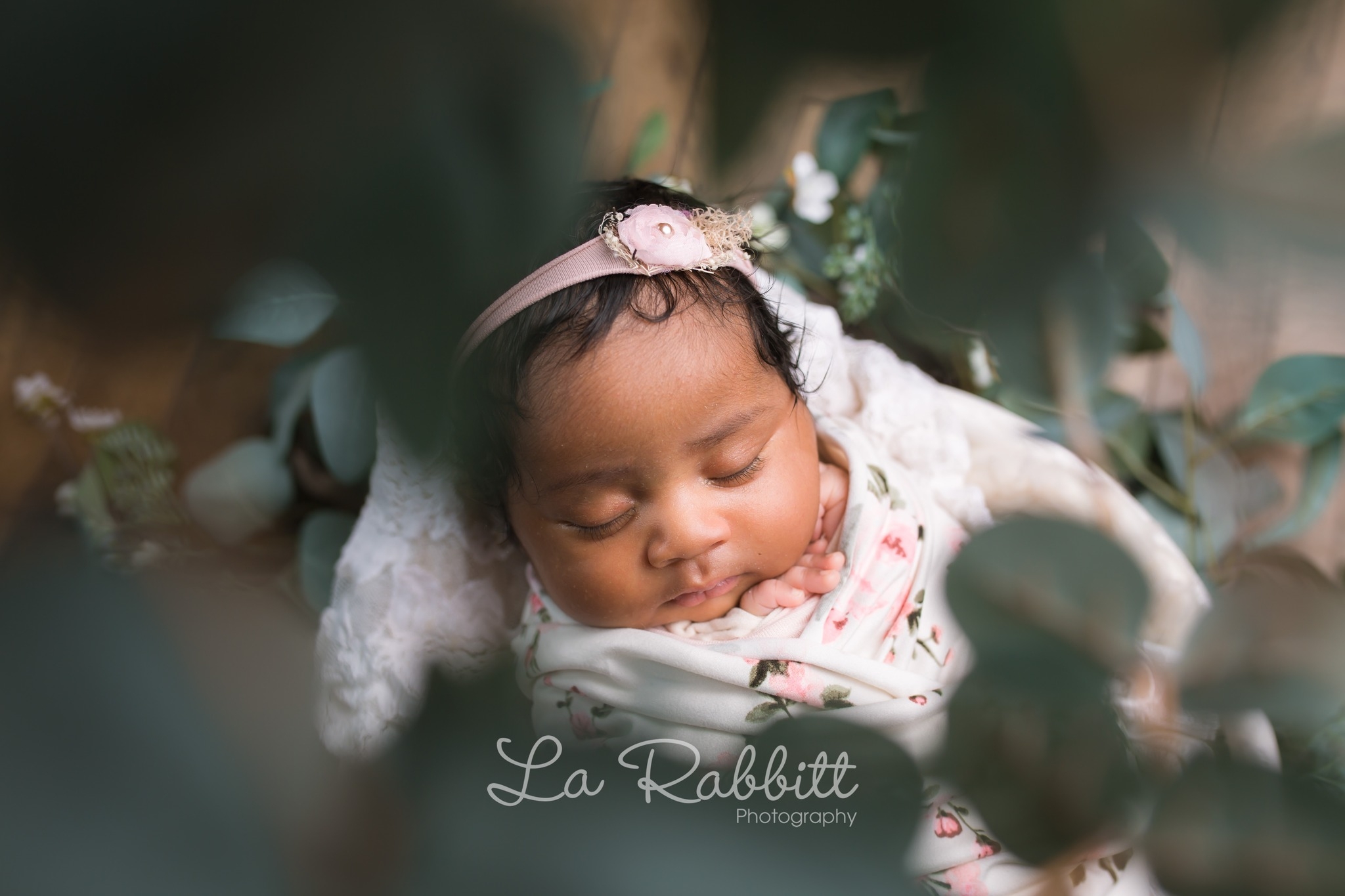La Rabbitt Photography