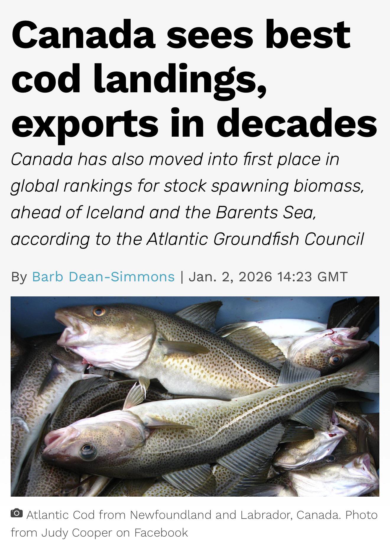 The latest landings report... - The Gulf Area Fishing News | Facebook