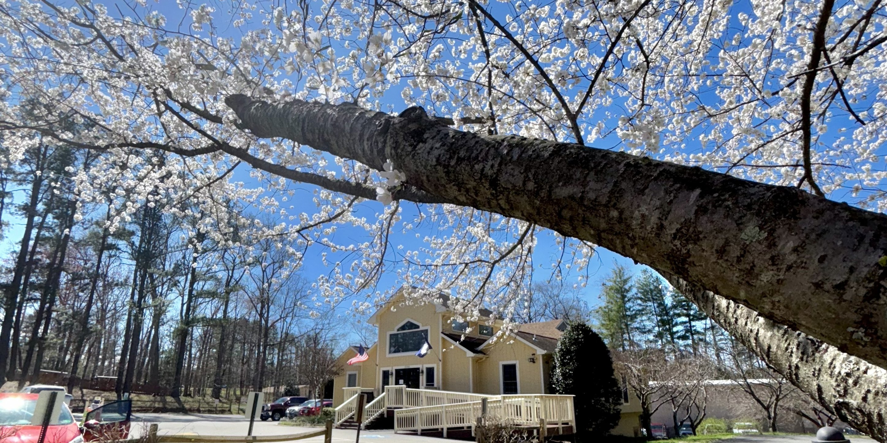 Lake Ridge Parks and Recreation Association | Lake Ridge VA