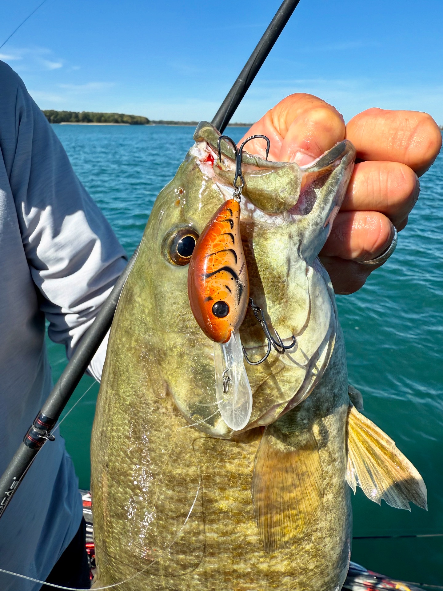 patagonia patagonia black hole mini mlc pack 30L Delta Jig Custom Crappie as a backpack with by:Main Size:8lb-300Yd
