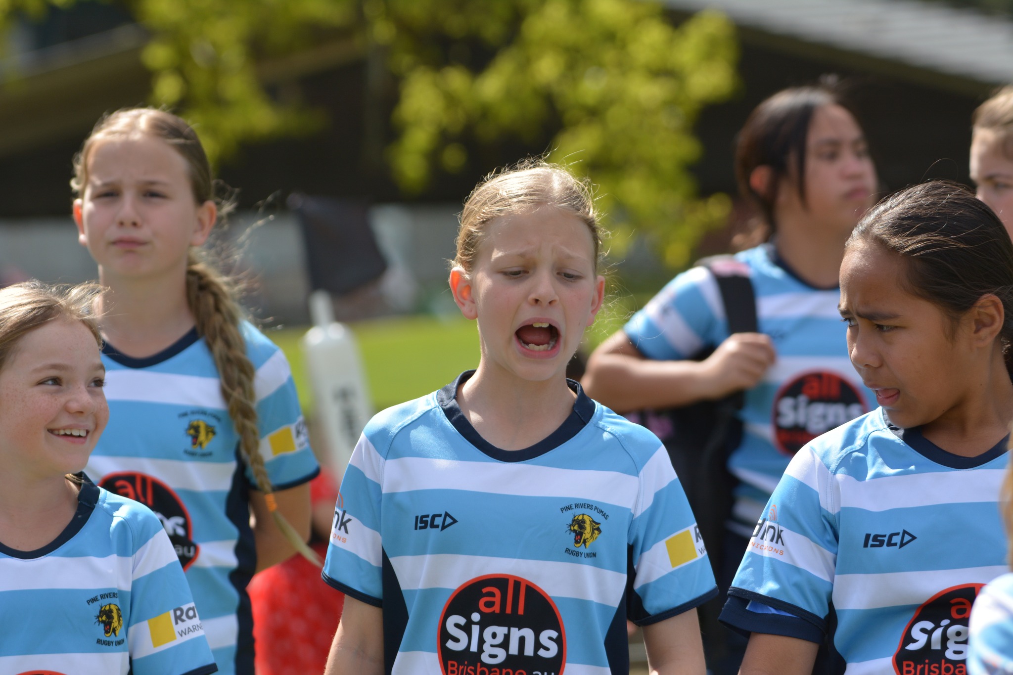 Pine Rivers Pumas Rugby... - Pine Rivers Pumas Rugby Union