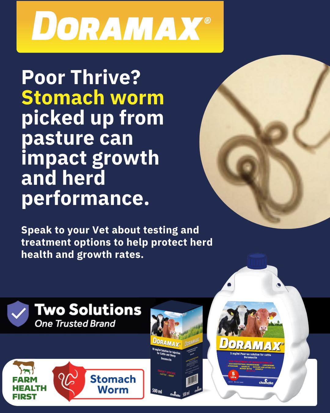 Chanelle - Clinical signs of stomach worm include reduced growth rates ...