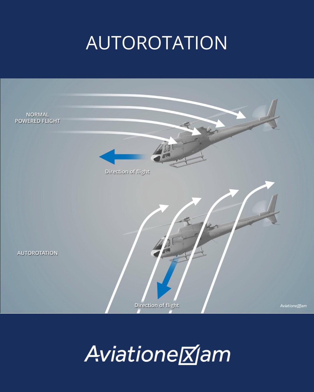 Aviationexam - 🚁 Autorotation Explained – From Blade... | Facebook