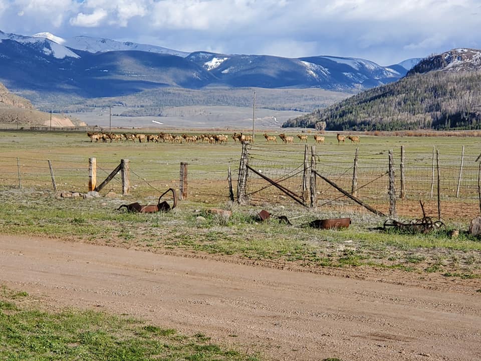 RC Guest Ranch | Creede CO