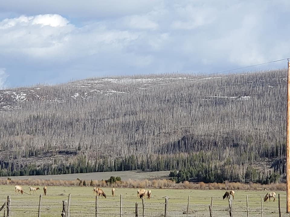 RC Guest Ranch | Creede CO