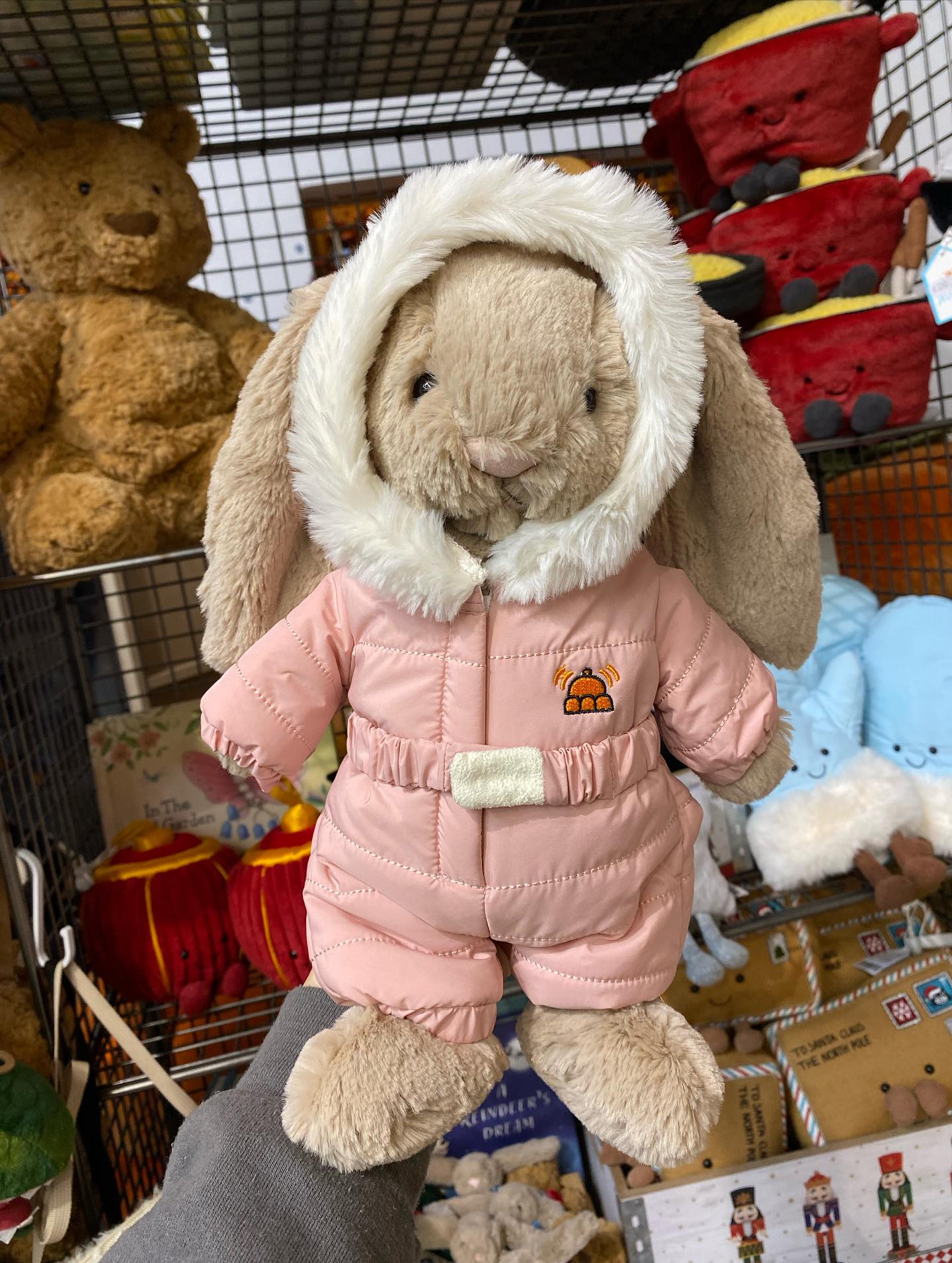 Jellycat bashful snow suit bunny ? has arrived and she bought her 
