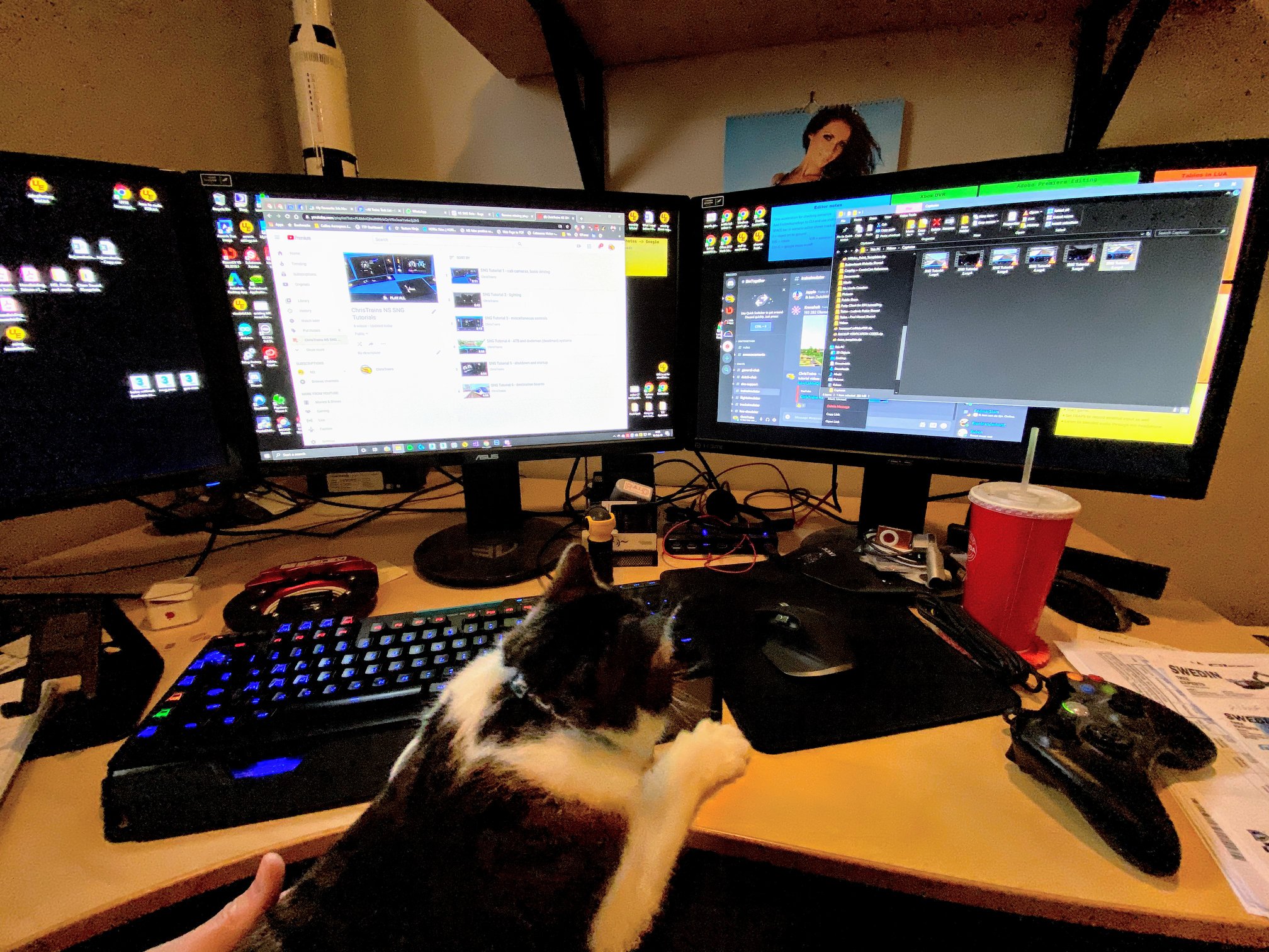 Christrains - Mijn kat besluipte mijn computermuis terwijl ik de SNG ...