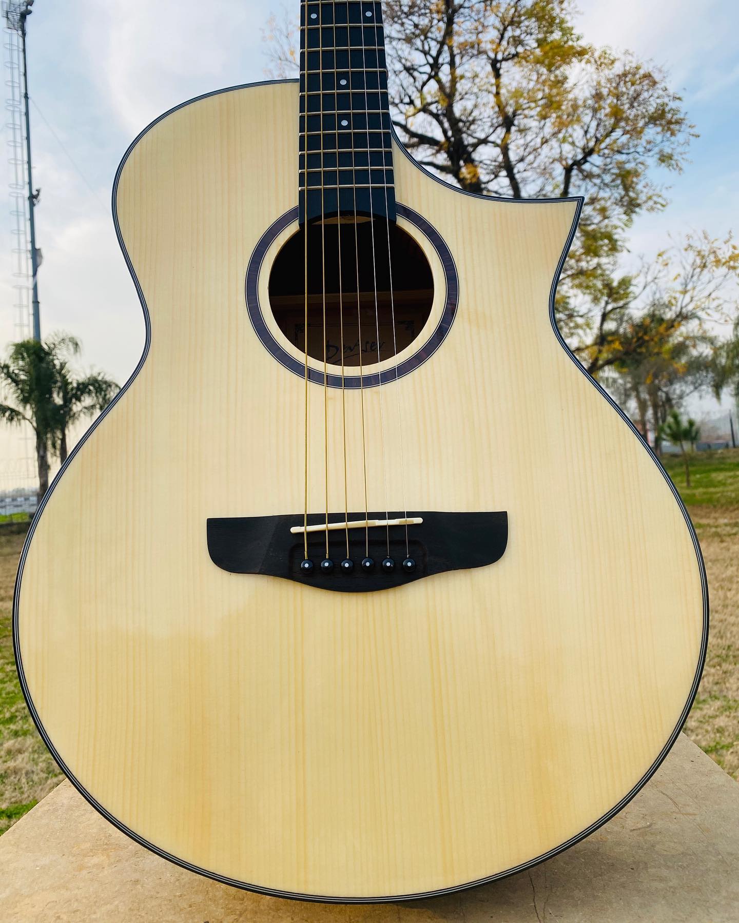 Deviser Model No. L-160-N Top:... - The Guitar Store Pakistan