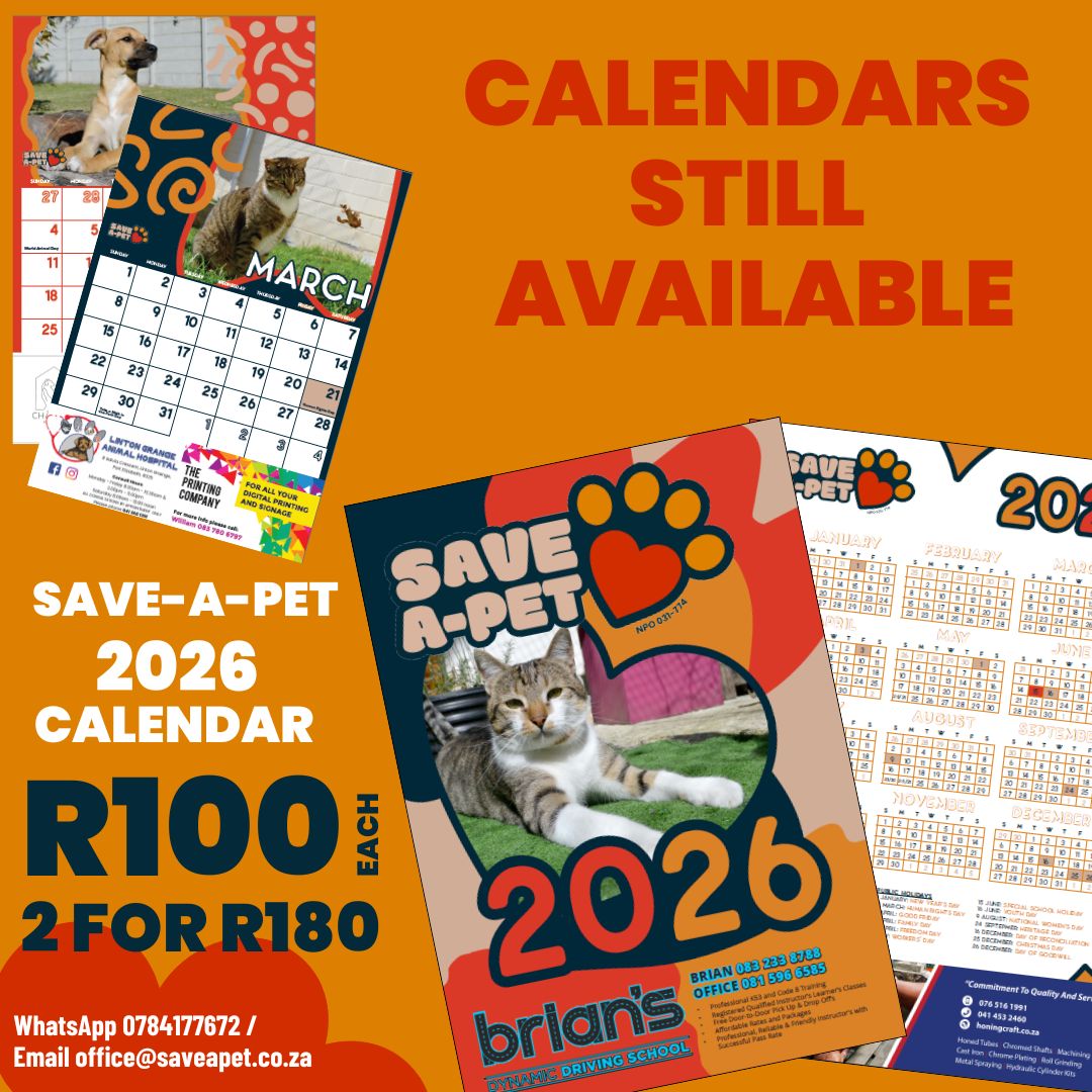 Save-a-Pet Port Elizabeth... - Save-a-Pet Port Elizabeth