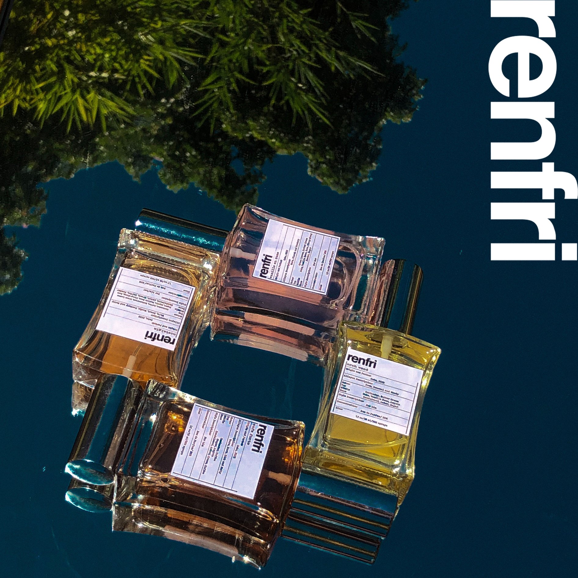 Renfri - Renfri Alimyon is finally out! We are thrilled to... | Facebook