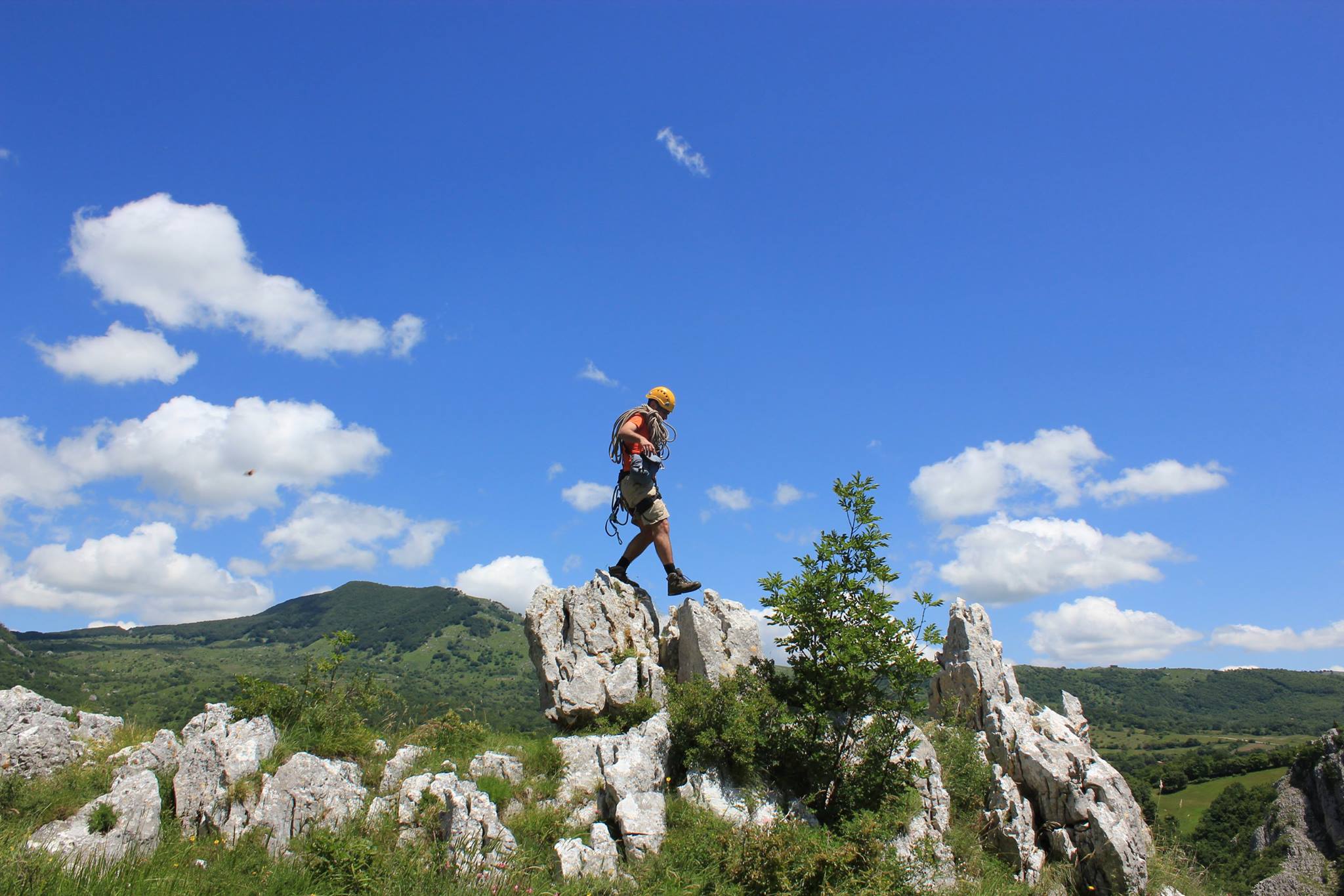 TREKKINGREEN-