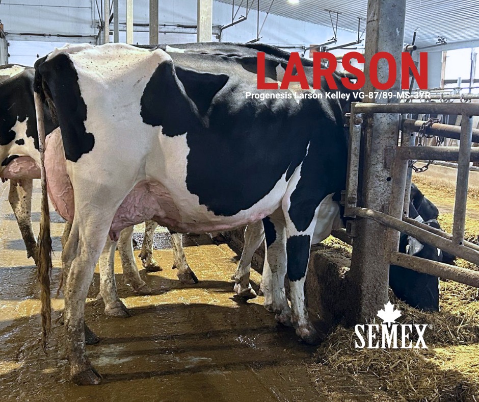 𝗖𝗟𝗔𝗦𝗦𝗜𝗙𝗜𝗖𝗔𝗧𝗜𝗢𝗡 𝗥𝗘𝗦𝗨𝗟𝗧𝗦! We had some great