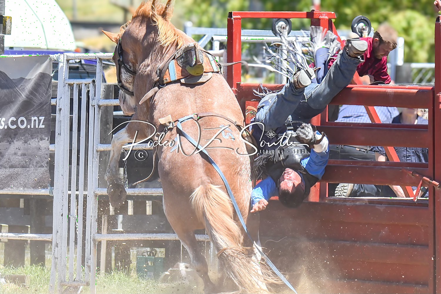 Rodeo Nz - South | Mosgiel