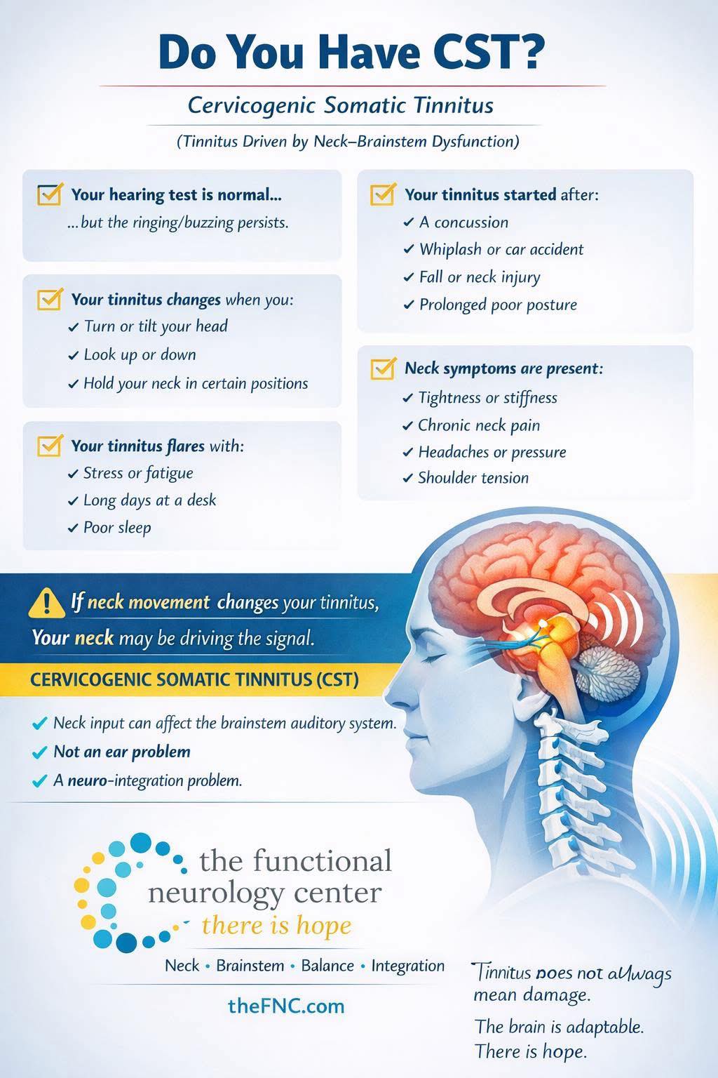 The Functional - 🔊 CERVICOGENIC SOMATIC TINNITUS (CST): When Neck ...