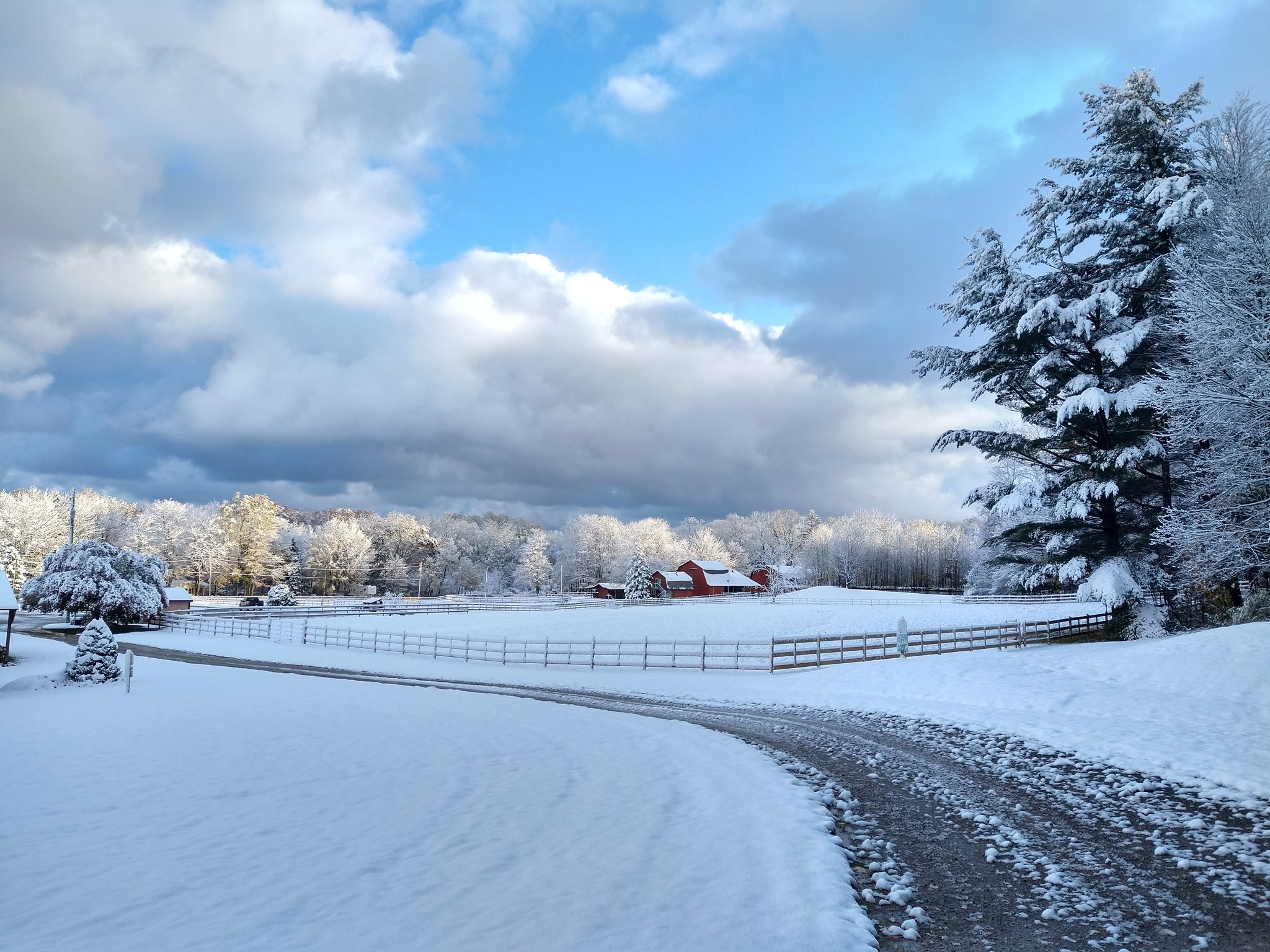 WLD Ranch | Girard PA