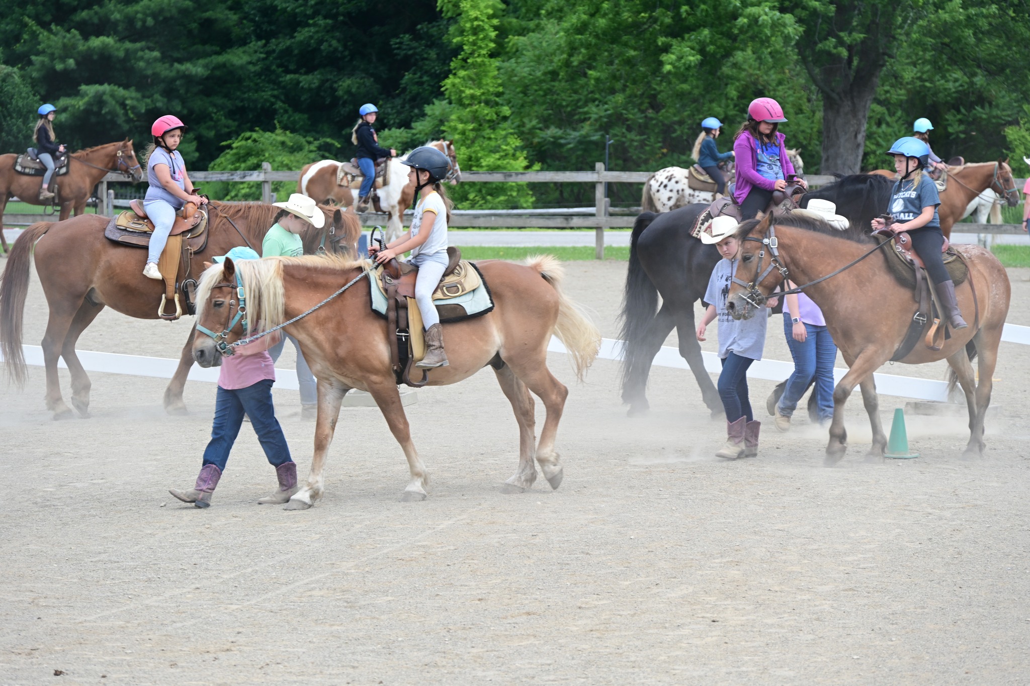 WLD Ranch | Girard PA