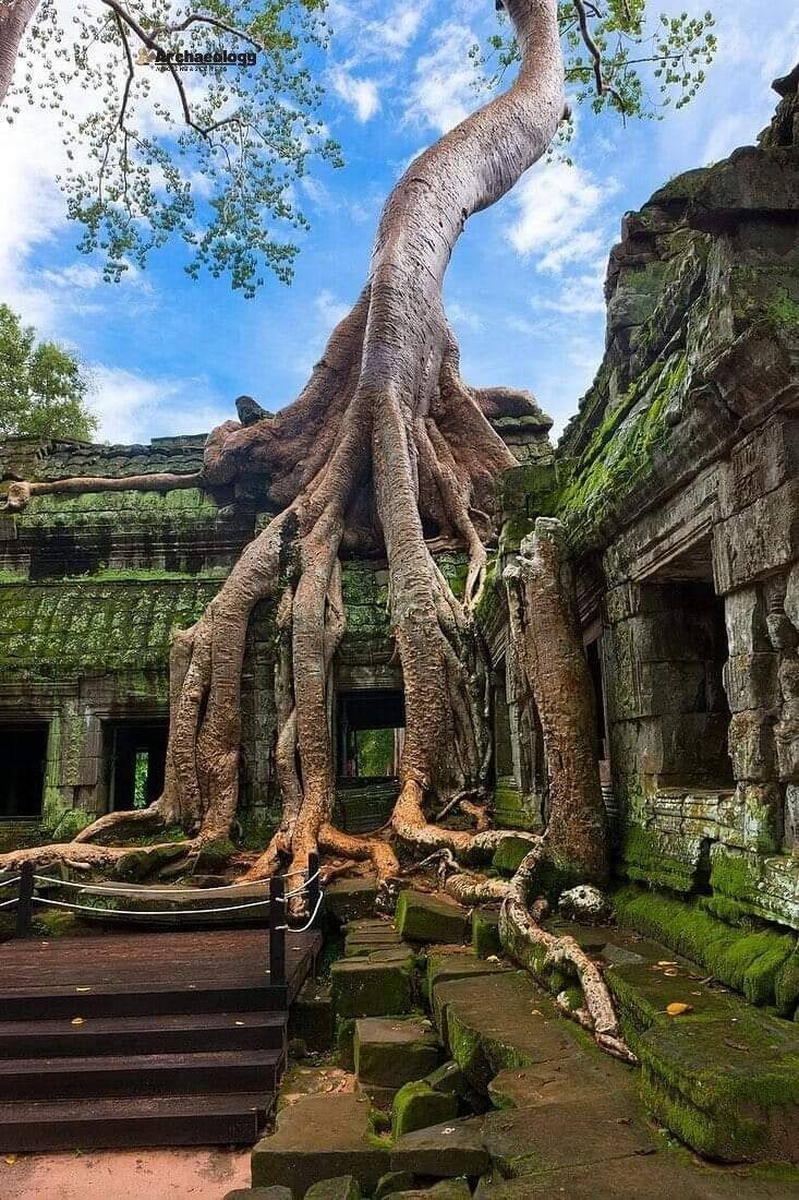 Ta Prohm temple ruins in Angkor Wat, Cambodia, oil painting