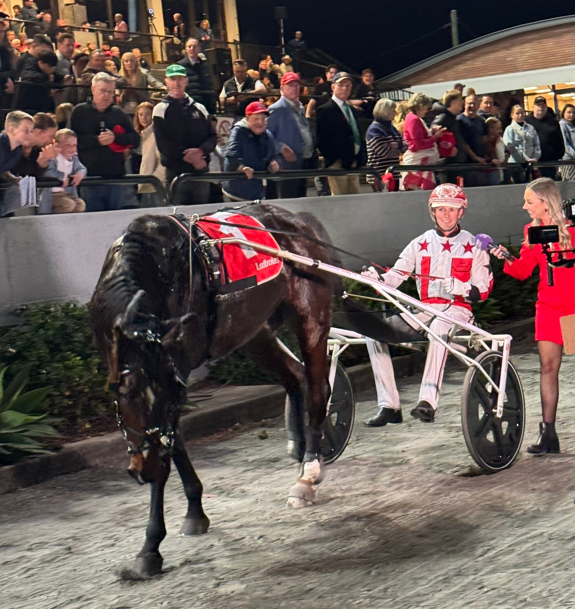 Harness Racing Victoria added a... - Harness Racing Victoria
