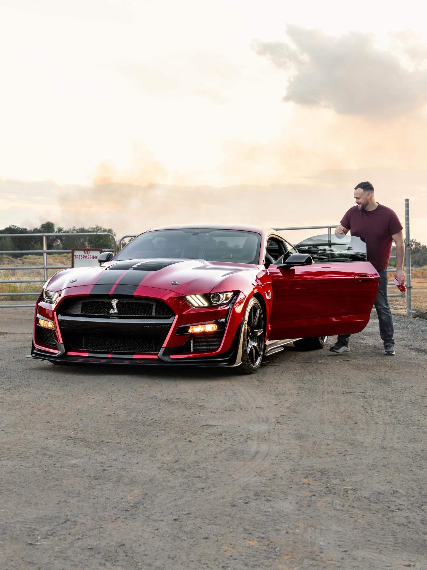 Meet The Newest Member of the ML... - Mustang Lifestyle | Facebook