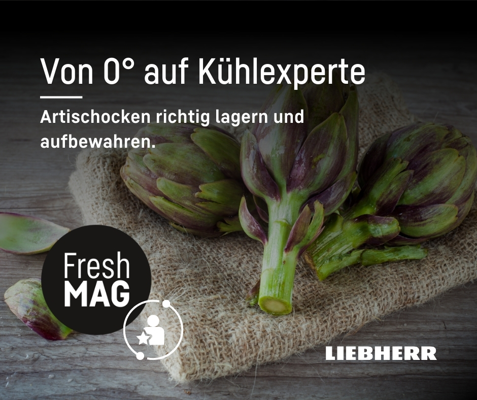 fahrrad aufbewahrung ständer Fahrrad-Wandhalterung mit Reifenablage – Fahrrad-Aufbewahrungsständer einfach zu installieren – Ruida Cycling 12-Loch Ätherisches Öl Display rasierklingen Größe:1.3L