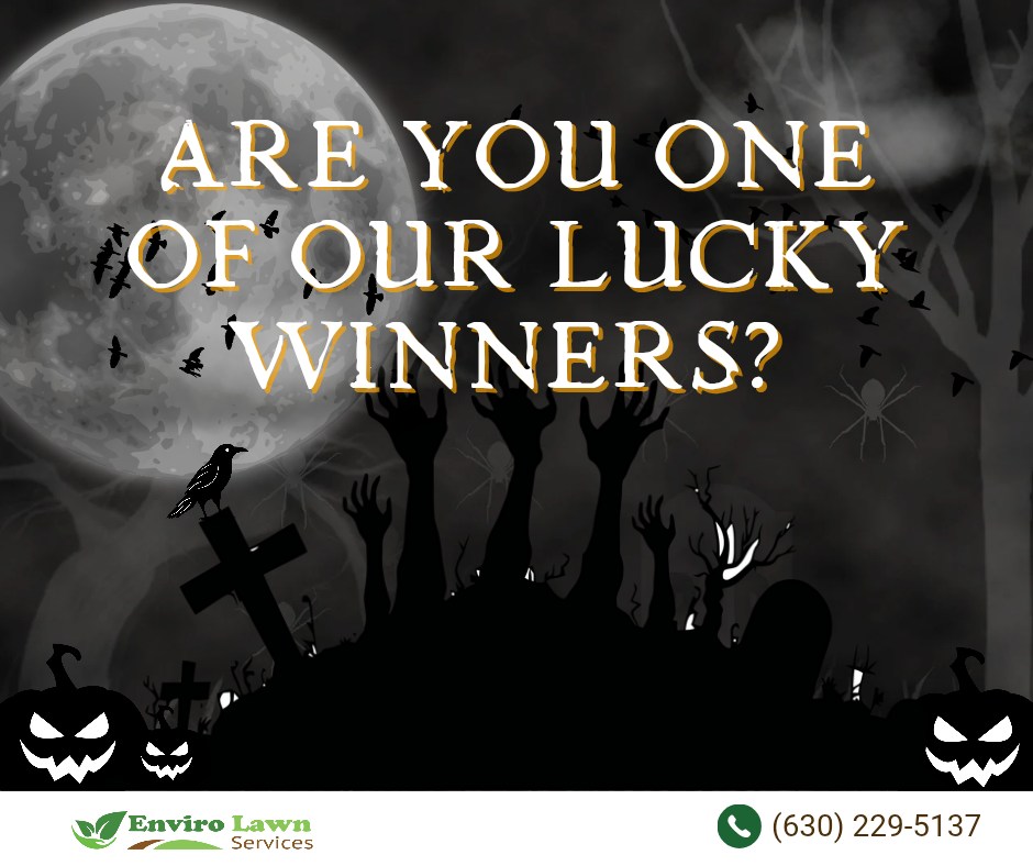 Enviro - The wait is almost over! 🦇 Our Trick or Treat Giveaway raffle ...