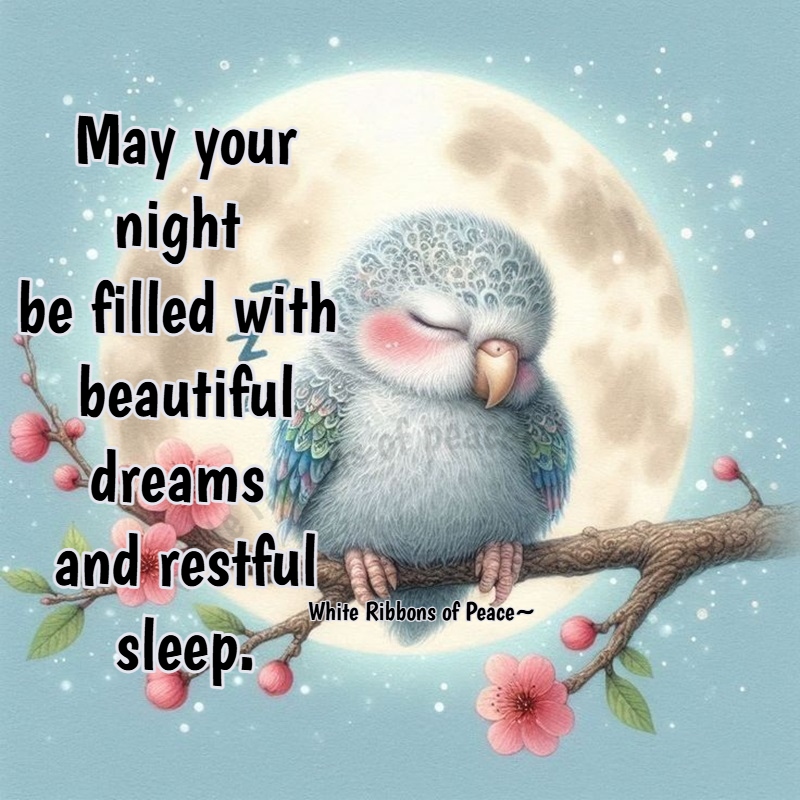 Curated visual reference: Fresh Look at White May Your Night Be Filled With Beautiful Dreams And