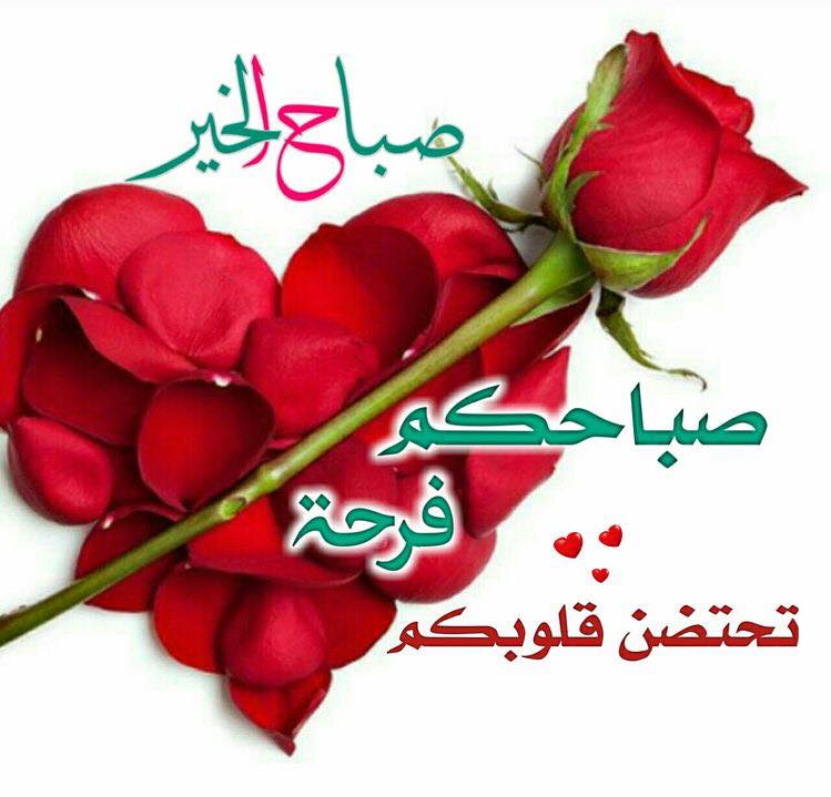 صباحووو ومسائوو الساعات الأولى من الصباح هي مواعيد مع الحياة مع الفرح والأمل فلا تنس أن تقط ف لقلبك بذرة يقين تملأ بها نفسك سعادة وت هدي روحك تفاؤلا بأن القادم أجمل