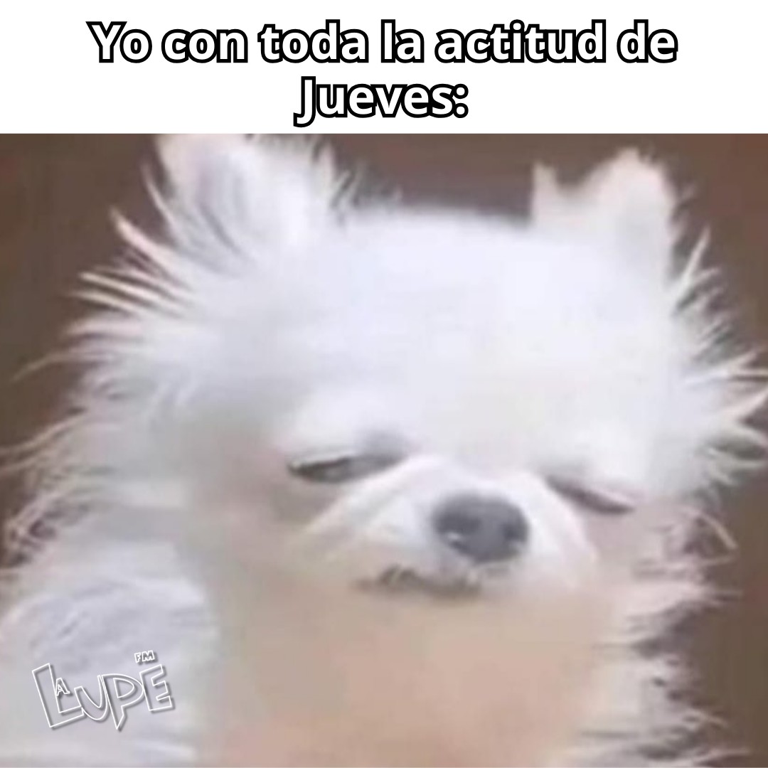 Ánimo, raza🥱 #LaLupeFM #LaLupe... - La Lupe 94.9 Tampico | Facebook
