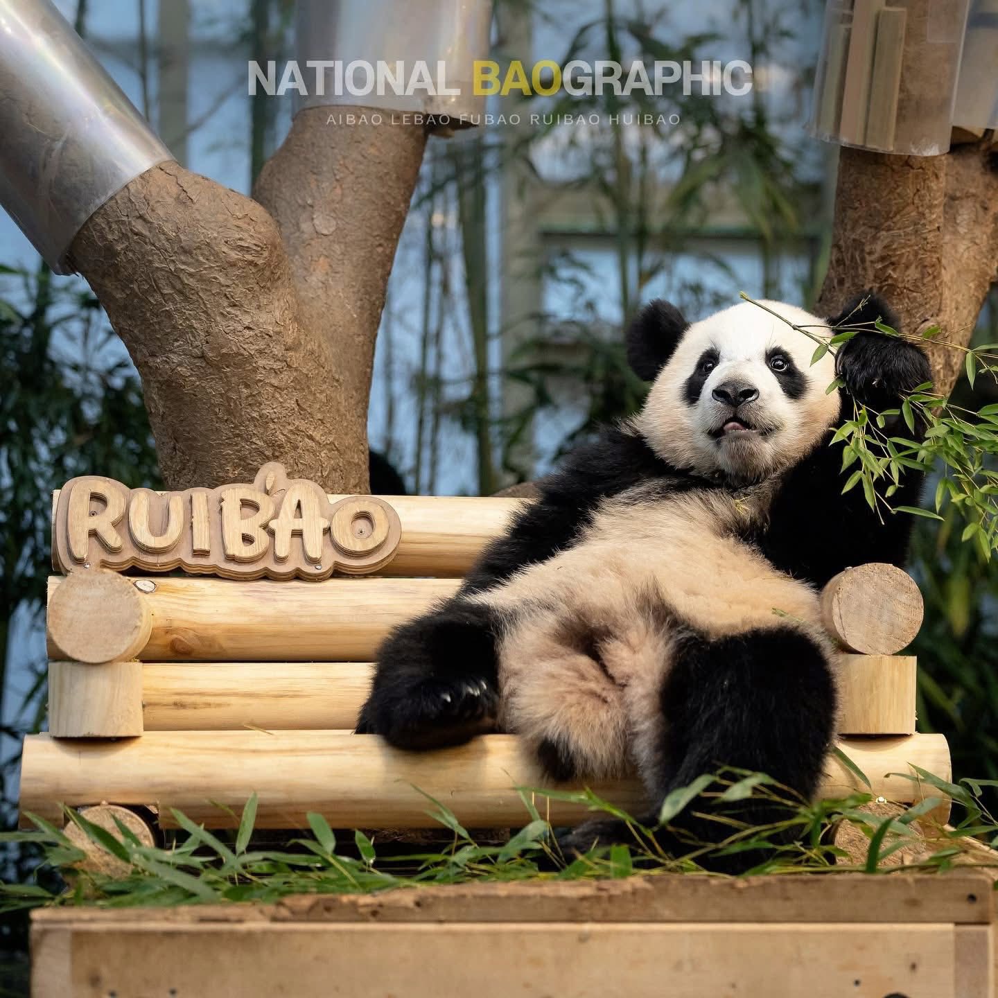 Rui Hui đáng yêu added a new photo. - Rui Hui đáng yêu