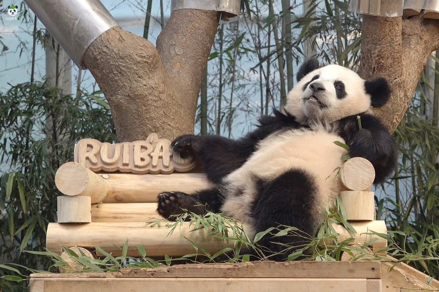 Rui Hui đáng yêu added a new photo. - Rui Hui đáng yêu