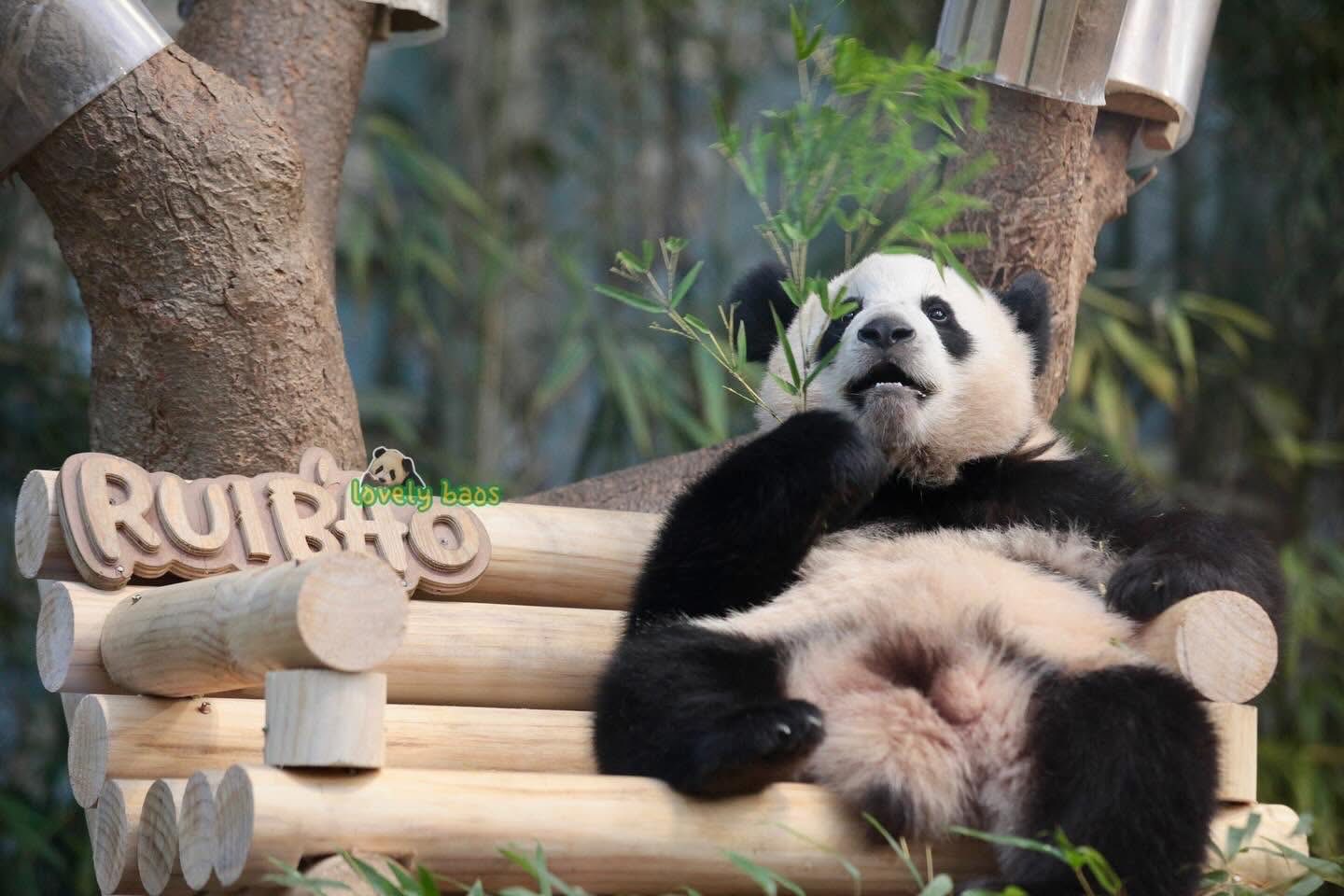 Rui Hui đáng yêu added a new photo. - Rui Hui đáng yêu