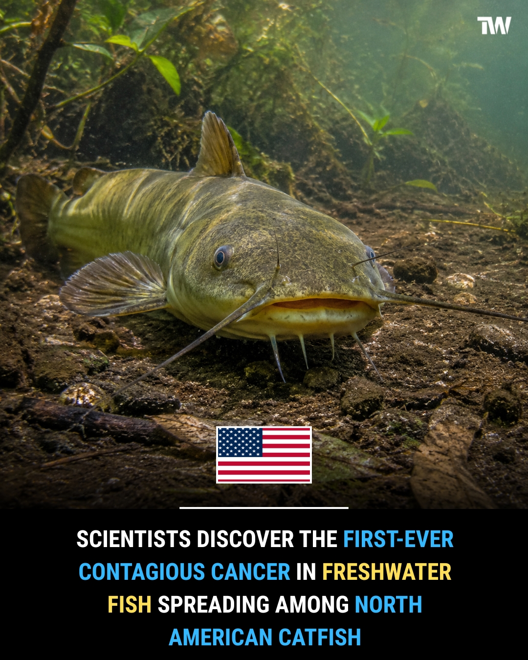 A team of researchers from Vermont has identified what they say is