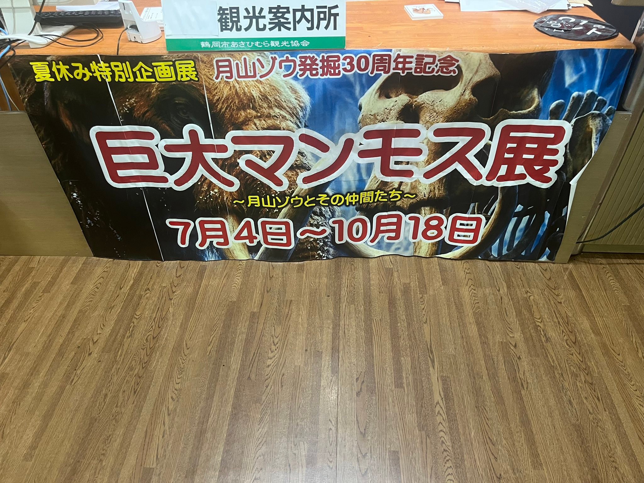 文化創造館では、本日6/27より「巨大マンモス展」プレオープンです
