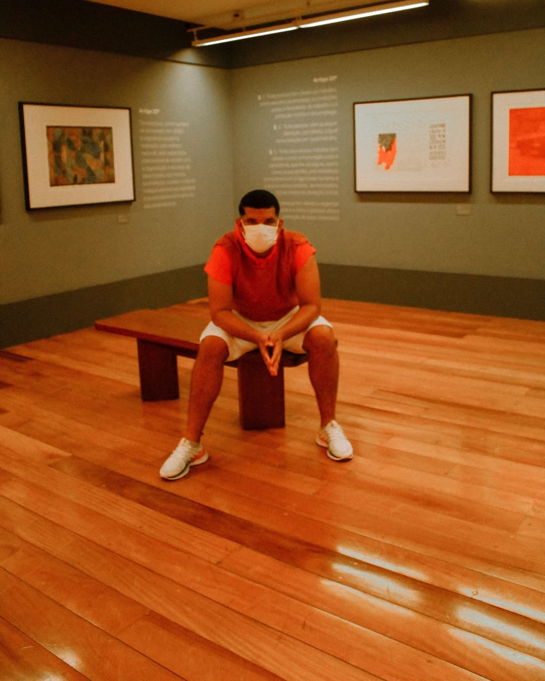 Peeu - 🟣TURISMO HISTÓRICO CULTURAL🟣 🟢 A Pinacoteca de São... | Facebook