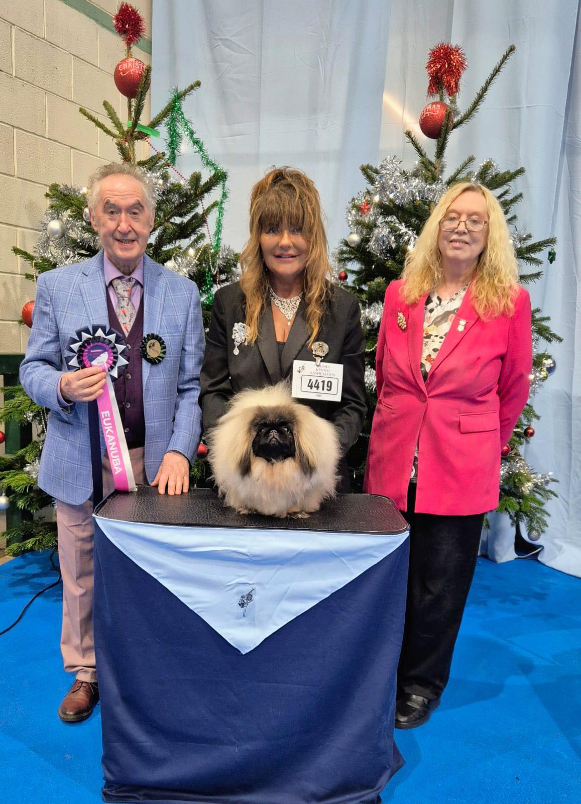 Our Dogs - Congratulations to the third day heat winner of... | Facebook