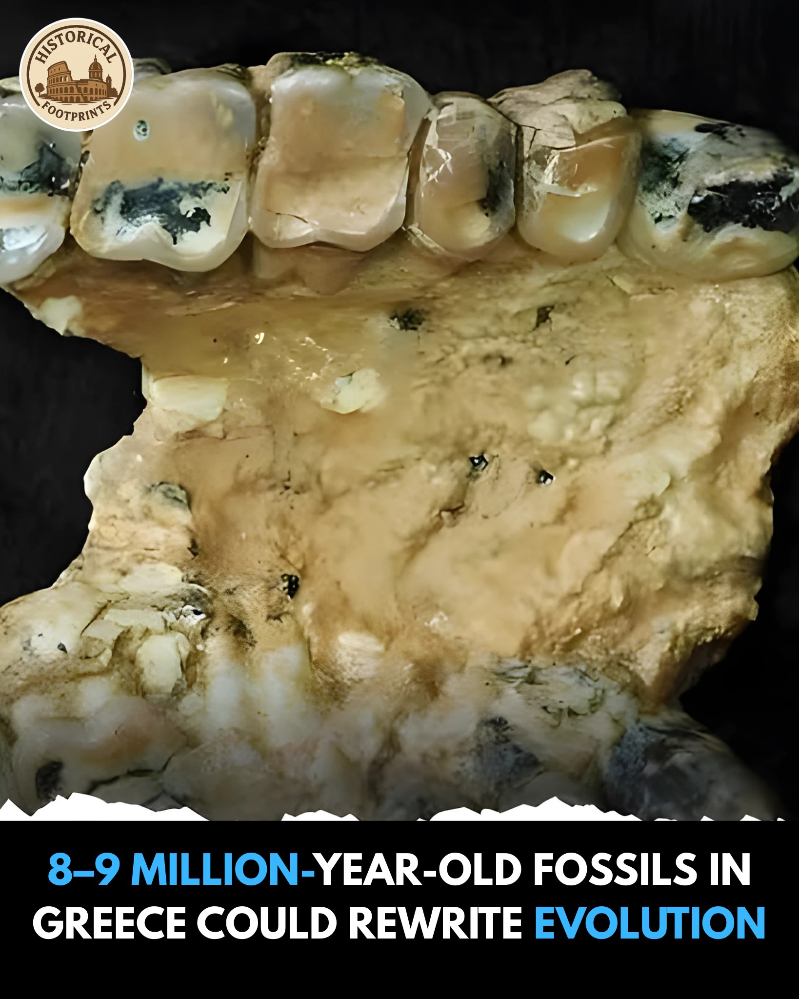 Historical - A discovery in northern Greece is shaking up everything we ...