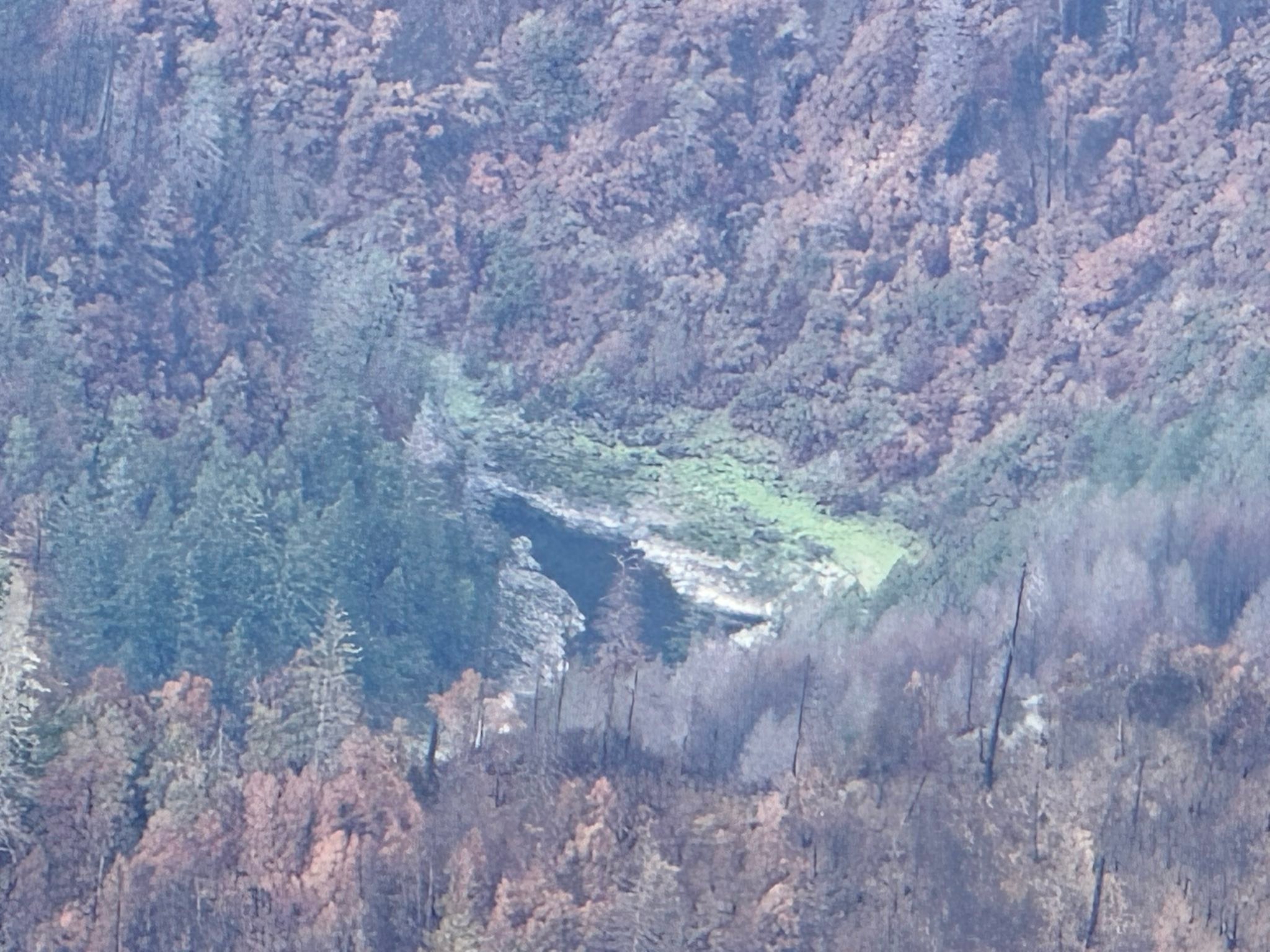 Bear Camp Road Updates