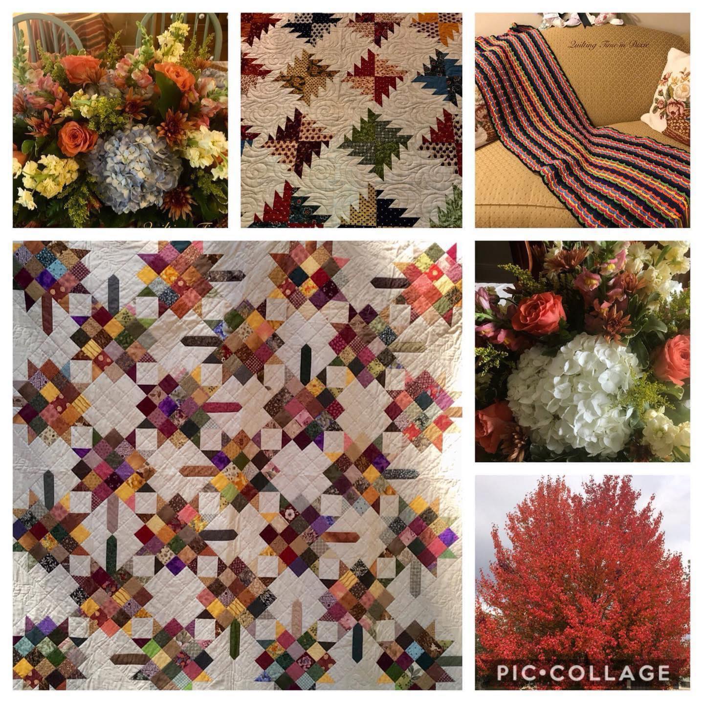Quilting - Good Morning from Dixie! All these photos are mine. The ...