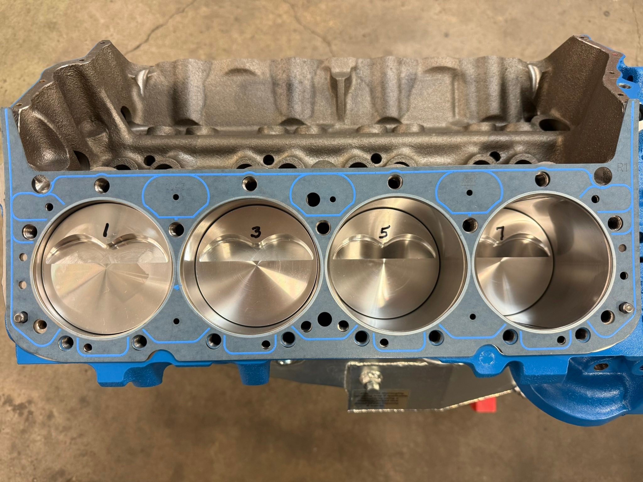 Revv Theory Racing Engines | Glasgow MT