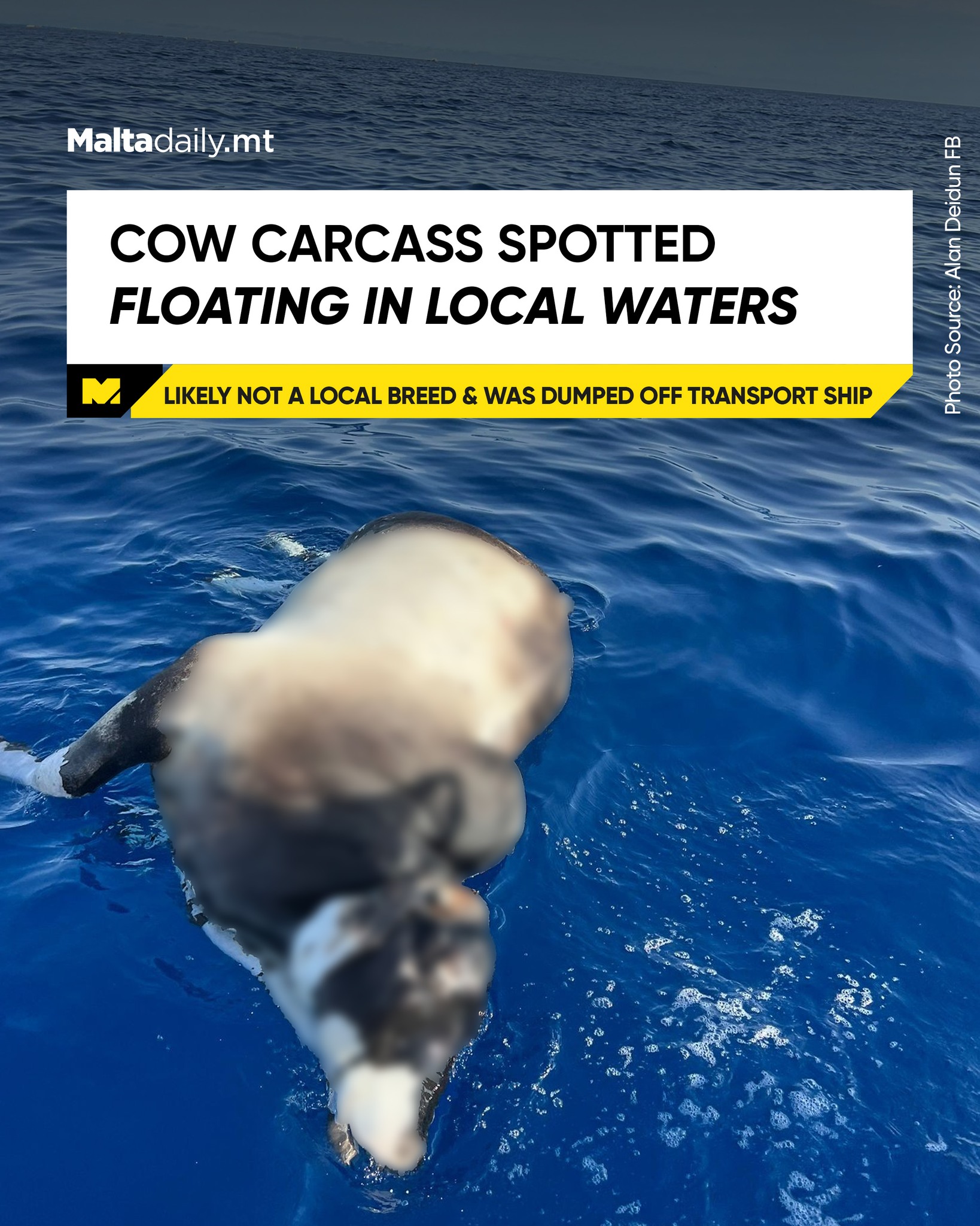 Malta Daily - According to the commenter, who works in the... | Facebook