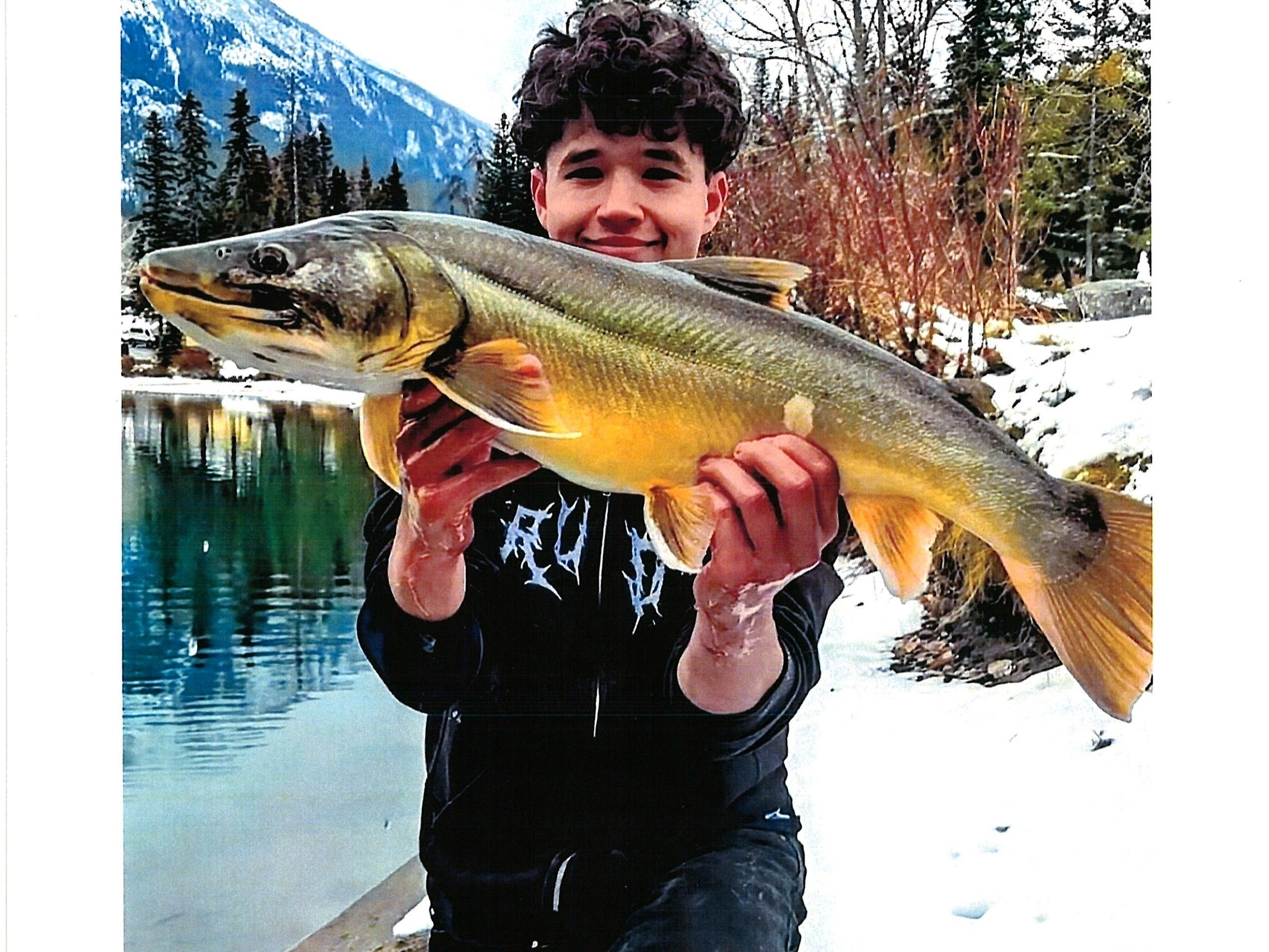 alaska river trout sea-run spinning reel daiwa or shimano Diwa Fishing Reels for Saltwater Freshwater 3000 4000 5000 6000 7000 Spools Ultra Smooth Ultralight Powerful Bass Carp Gear Stainless Ball Bearings Metal Body Ice Fishing Reels(3000) : Sports & Outdoors Total length Shimano Stella SW Salt Water