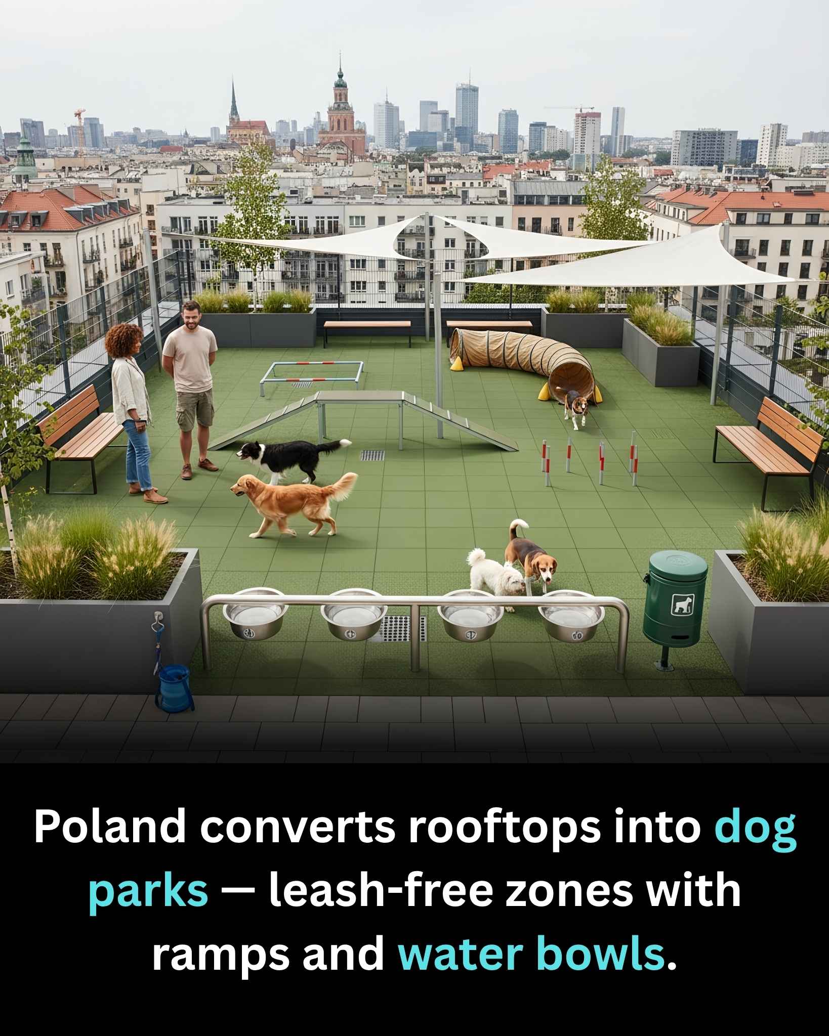 Fact - In Poland’s denser urban areas, where space is tight and ...