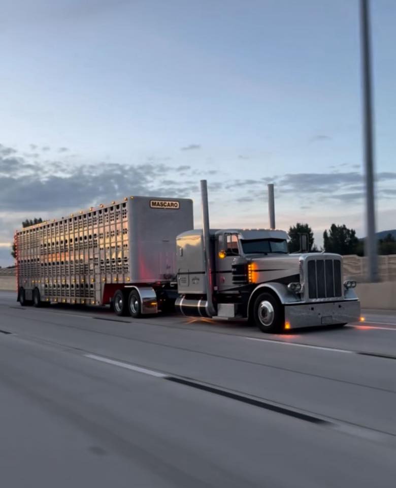 Texas - @the_kid389 ️ ️ #peterbilt389 #largecar #photography #bigrig ...