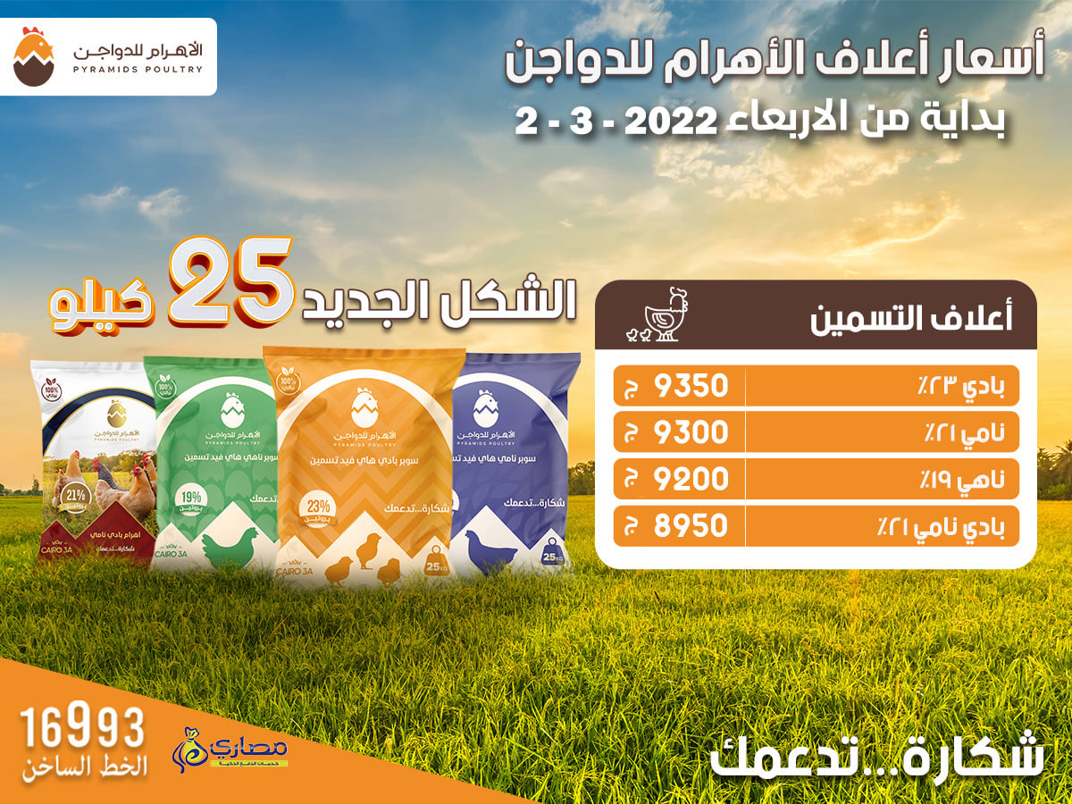‎الاهرام للدواجن -... - الاهرام للدواجن - Pyramids Poultry