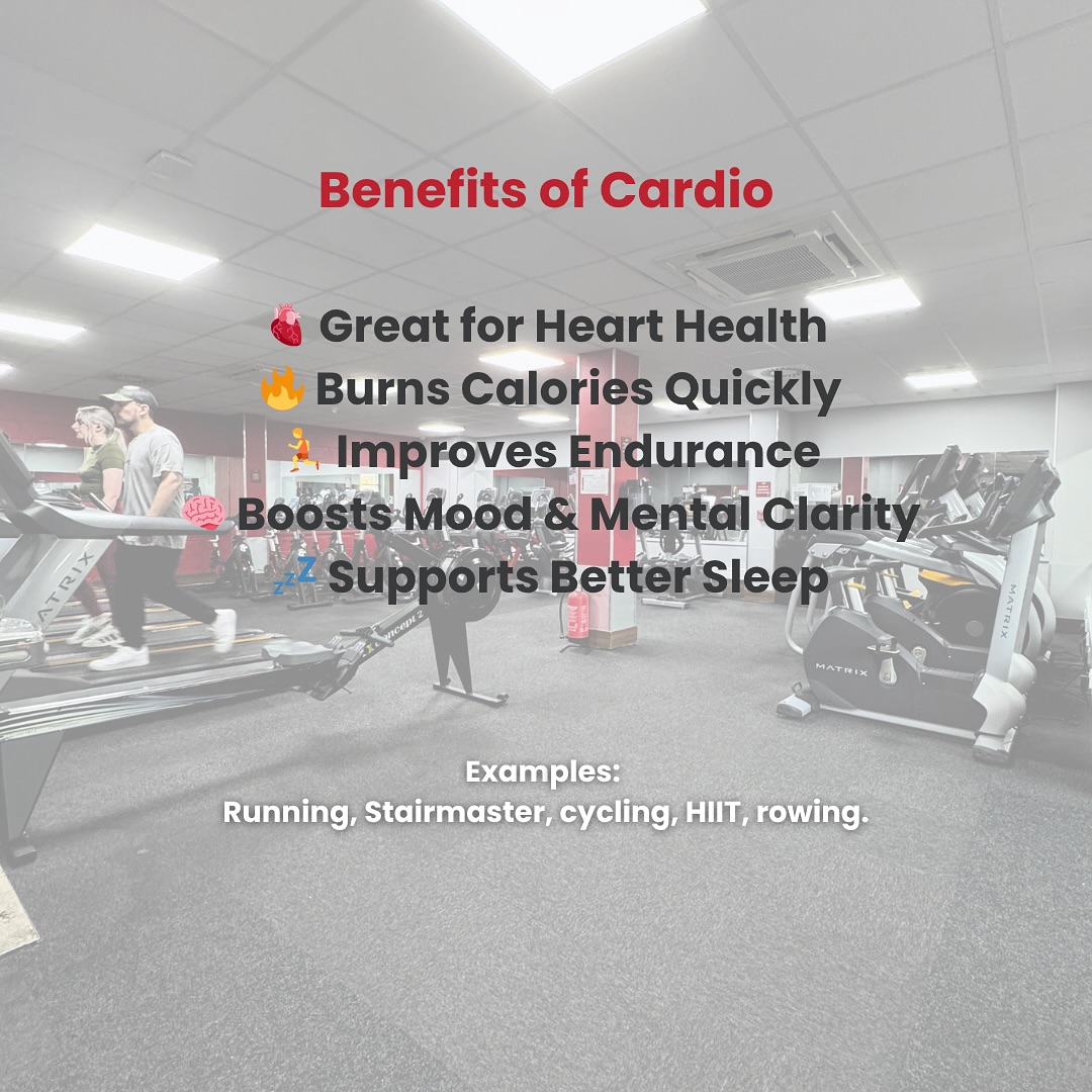 Is Endurance Cardio the Key to Ultimate Fitness?