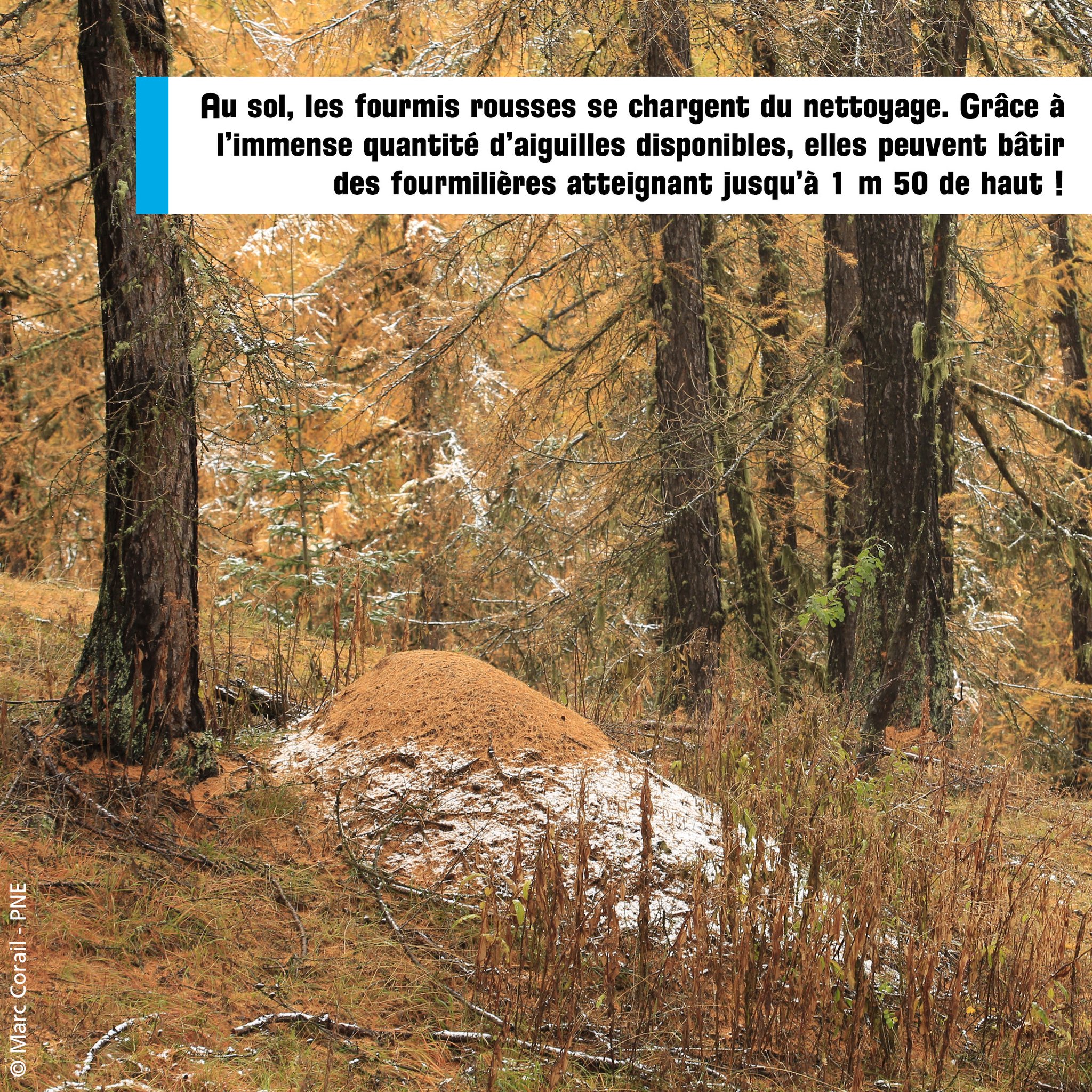 Parc national des Ecrins added... - Parc national des Ecrins