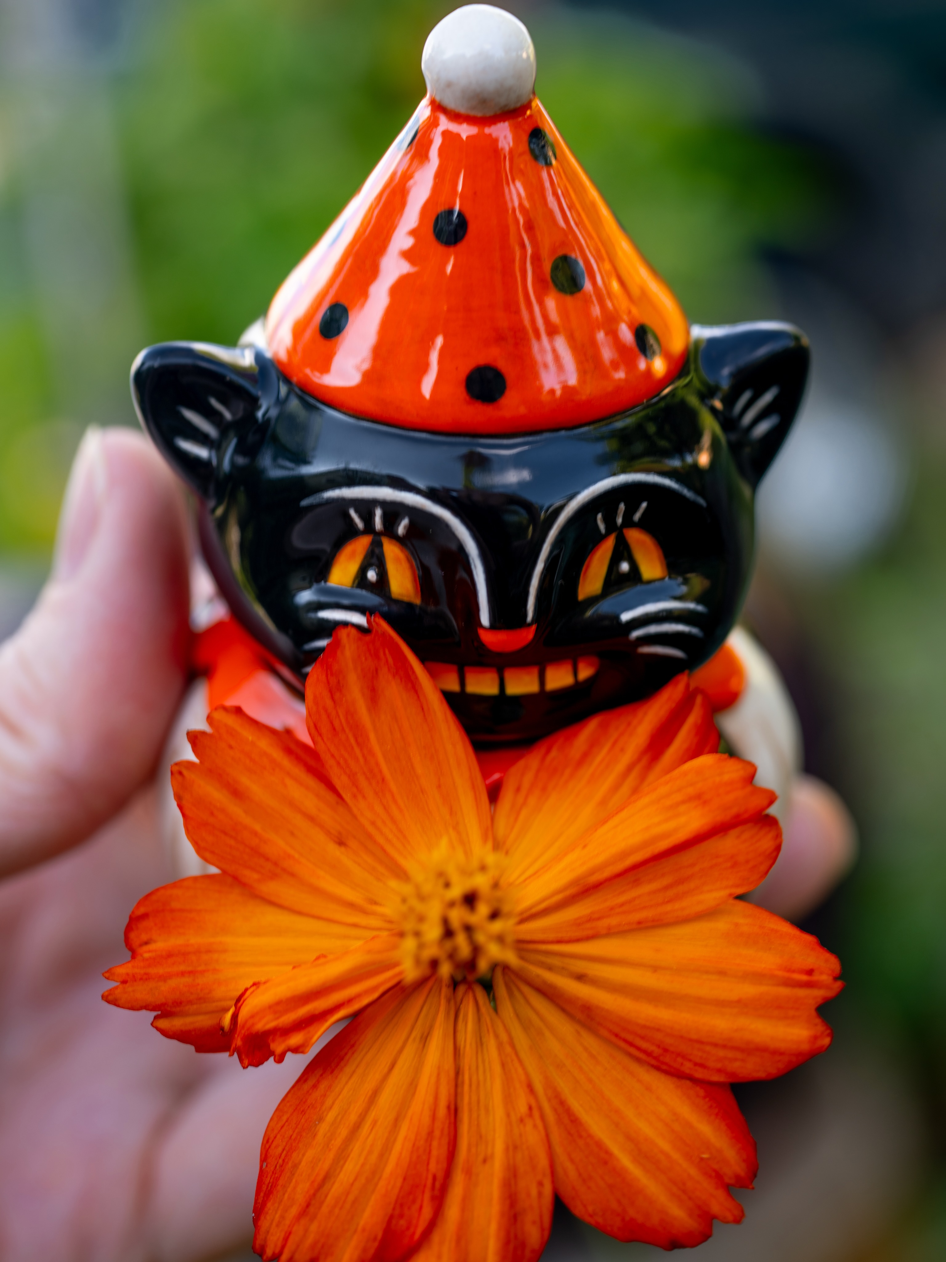 Johanna Parker Design's first fiery orange cosmos blossom blooms