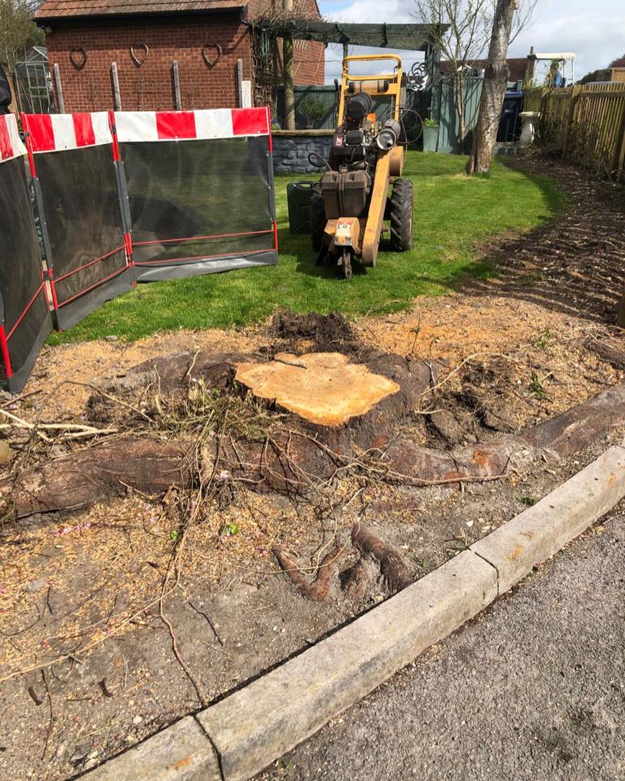 A F Harris Tree Services | Trowbridge