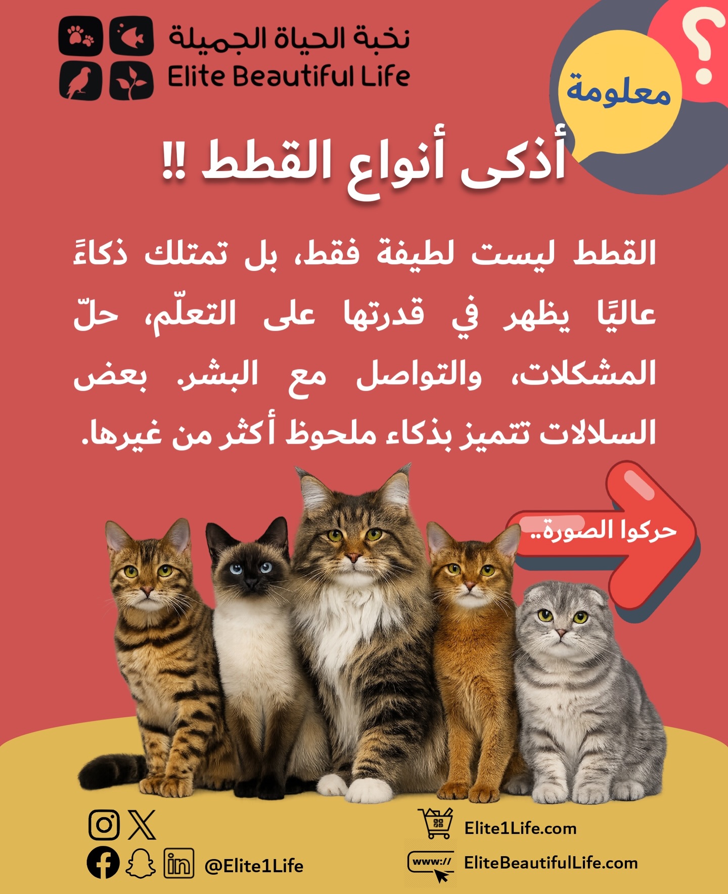 Elite - ‎#مناديل مخصصة لـ #الحيوانات_الأليفة من أفضل المنتجات للعناية ...